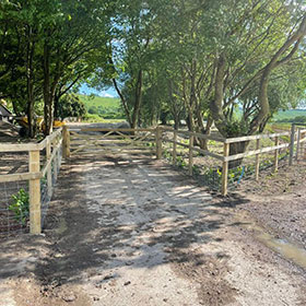 Stock proof fencing